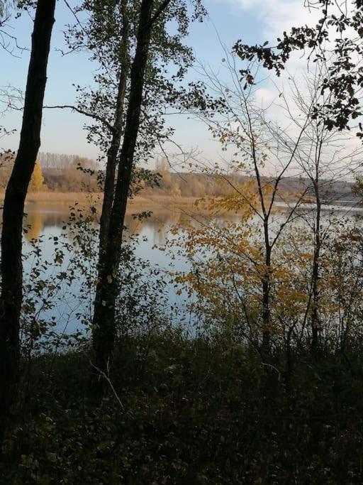 Swietna Chatka Swietne Экстерьер фото